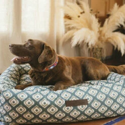 CAMA IMPERMEABLE IKAT VERDE - S 24.5 Cm X 65 Cm X 50 Cm -Tienda barata Tiendanimal 172e8e18744042f9894e69ac23337ddd