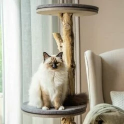 Rascador Para Gatos Designed By Lotte Jazz Color Marrón 60 Cm X 60 Cm X 135 Cm -Tienda barata Tiendanimal 28476 4 IMG00042259