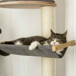 Rascador De Pared Kerbl Dolomit XL Para Gatos Color Gris 185 Cm X 115 Cm X 185 Cm -Tienda barata Tiendanimal 28656 2 IMG00043908