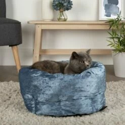 Scruffs Cama Donut Para Mascotas Color Azul 45 Cm X 20 Cm -Tienda barata Tiendanimal 33060 4 IMG00062831