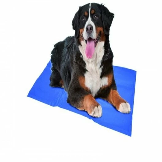 Duvo Alfombra Refrescante Para Mascotas Color Azul 65 Cm X 50 Cm 1 Duvo Alfombra Refrescante Para Mascotas Color Azul 65 Cm X 50 Cm