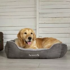 Scruffs Cama De Mascota Color Gris 60 Cm X 50 Cm -Tienda barata Tiendanimal 36295 21040709220323 2 cama mascota color gris