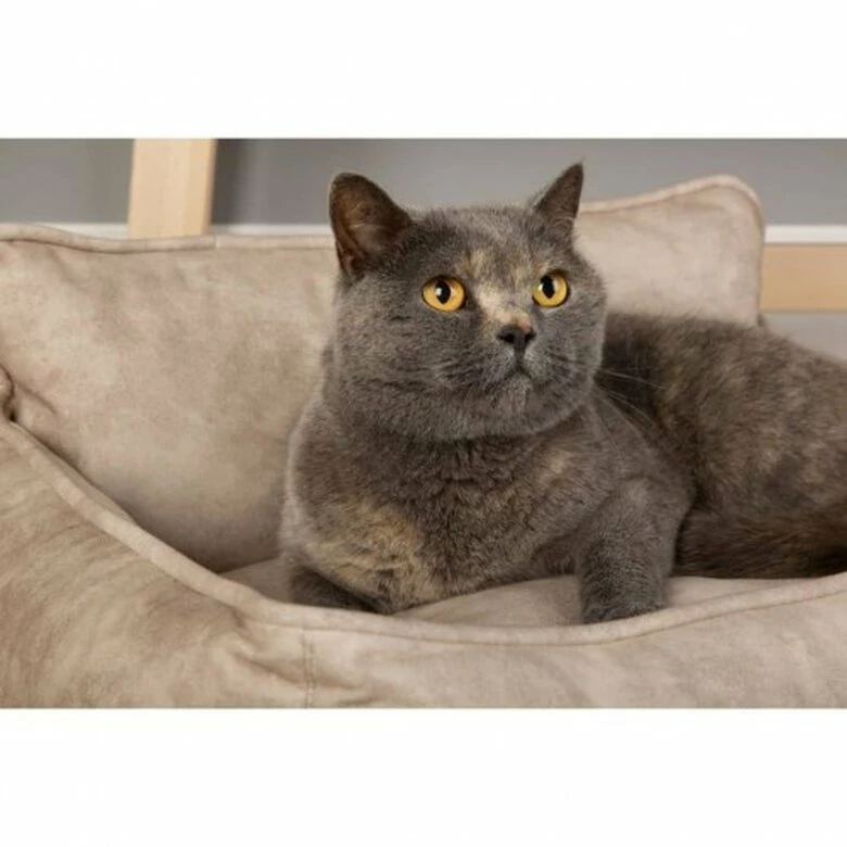 Cama Para Perros Color Crema 60 Cm X 50 Cm 6 Cama Para Perros Color Crema 60 Cm X 50 Cm - Imagen 6