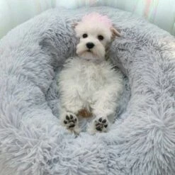 Cama De Felpa Para Mascotas Color Gris 50 Cm -Tienda barata Tiendanimal 38500 22031013034006 1 cama felpa para mascotas color gris