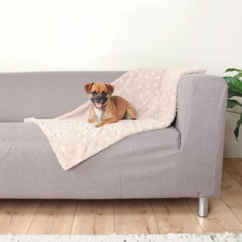Trixie Cosy Manta Beige Para Perros 70 Cm X 50 Cm 2 Trixie Cosy Manta Beige Para Perros 70 Cm X 50 Cm - Imagen 2