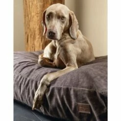 Designed By Lotte Unnay Cama Marrón Para Perros 100 Cm X 70 Cm X 15 Cm -Tienda barata Tiendanimal 46785 22041218111011 2 designed lotte unnay cama marr para perros