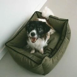 Duvo Poly Cuna De Poliéster Verde Oliva Para Perros 85 Cm X 70 Cm X 22 Cm -Tienda barata Tiendanimal 48513 22060118162455 1 duvo poly cuna poli ster verde oliva para perros