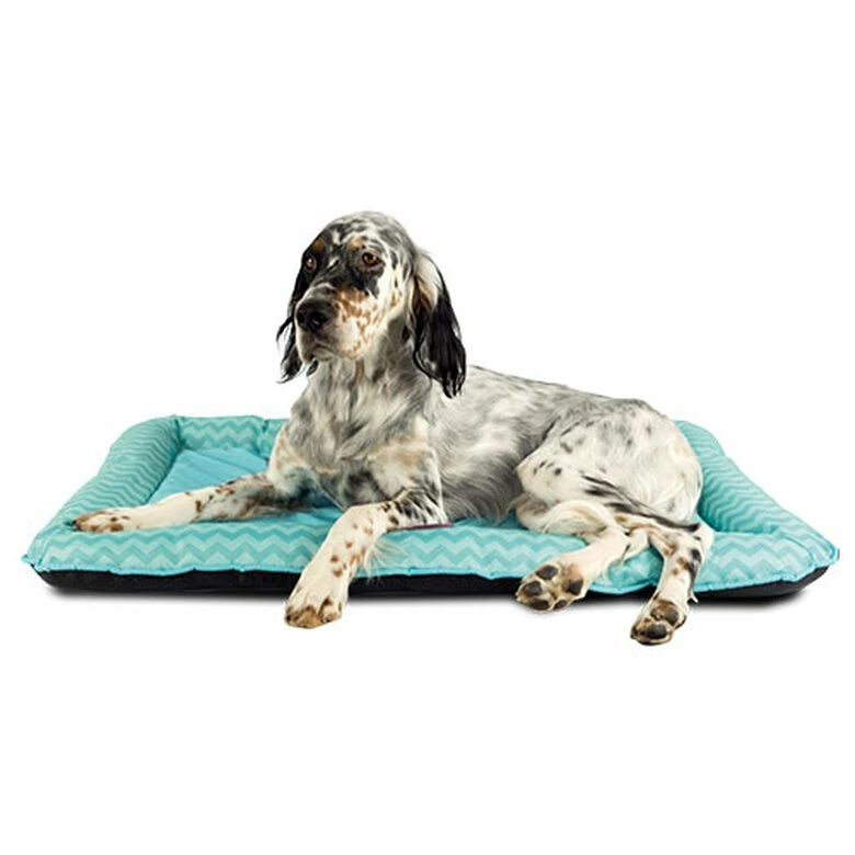 Ibanez Colchoneta Para Gatos Y Perros Impermeable "Oxford" 86 Cm X 57 Cm 1 Ibanez Colchoneta Para Gatos Y Perros Impermeable "Oxford" 86 Cm X 57 Cm