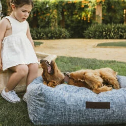 CAMA IMERMEABLE AZUL - GRANDE 27.5 Cm X 65 Cm X 80 Cm -Tienda barata Tiendanimal 5ababdf39fa04d049c2aecee28eabf58