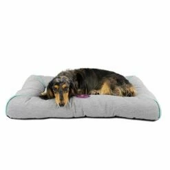 Ibanez Colchoneta Fresh Air FRESH AIR MEDIANA 61 Cm X 45 Cm X 7 Cm -Tienda barata Tiendanimal 6aa9a3ca6bd849179e27c62cae23fa47