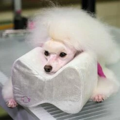 Ibanez Almohada Ibáñez ALMOHADA IBÁÑEZ PEQUEÑA 15 X 10 X 10 Cm -Tienda barata Tiendanimal 80fc2335045943a9bb1aef1b22eac30f