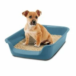 Ibanez Bandeja WC Para Gatos "Junior Toilet" Apto Para Todo Tipo De Gatos, Con Bandeja De Entrada, Material Duradero 56 Cm X 39 Cm X 13 Cm -Tienda barata Tiendanimal 9a2a260a596647a3ab91f88baf09c54b