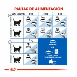 Royal Canin Home Life Indoor 27 Pienso Para Gatos 10 Kg -Tienda barata Tiendanimal Pienso gatos royal canin feline indoor 27 ROY2529620 6 1