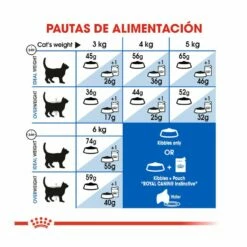 Royal Canin Home Life Indoor 27 Pienso Para Gatos 4 Kg -Tienda barata Tiendanimal Pienso gatos royal canin feline indoor 27 ROY2529620 6 2