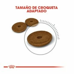 Royal Canin Adult Digestive Pienso Para Gatos 2kg -Tienda barata Tiendanimal comida gatos royal canin adullt digestive care ROY317012 M 5 1