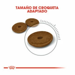 Royal Canin Adult Digestive Pienso Para Gatos 10kg -Tienda barata Tiendanimal comida gatos royal canin adullt digestive care ROY317012 M 5