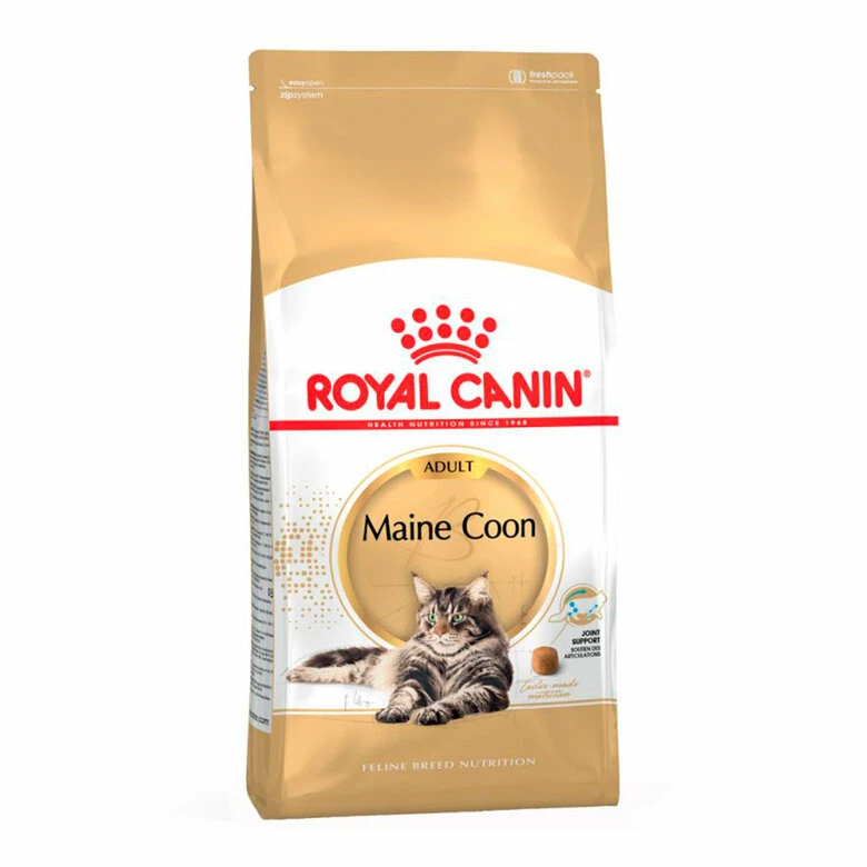 Royal Canin Adult Maine Coon Pienso Para Gatos 10kg 2 Royal Canin Adult Maine Coon Pienso Para Gatos 10kg - Imagen 2