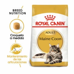 Royal Canin Adult Maine Coon Pienso Para Gatos 10kg