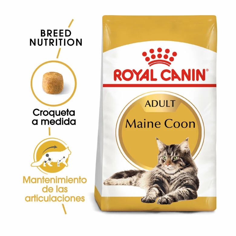 Royal Canin Adult Maine Coon Pienso Para Gatos 10kg 1 Royal Canin Adult Maine Coon Pienso Para Gatos 10kg