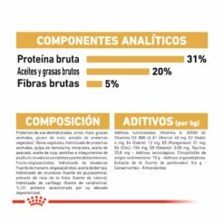 Royal Canin Adult Maine Coon Pienso Para Gatos 4kg -Tienda barata Tiendanimal comida gatos royal canin adult maine coon ROY309338 M 7 1