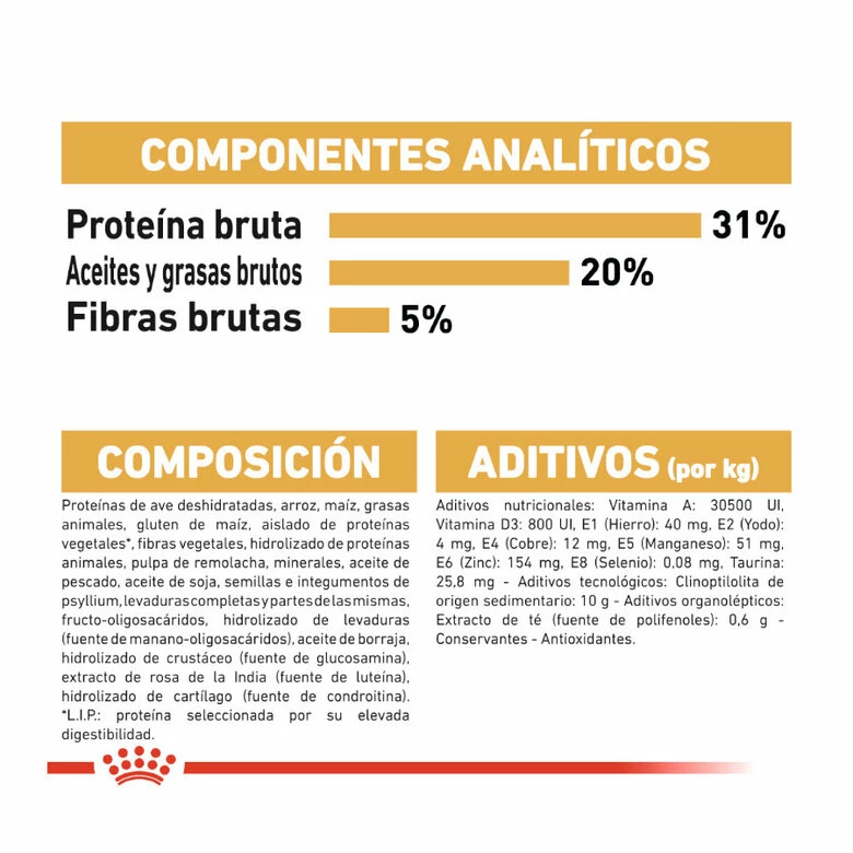 Royal Canin Adult Maine Coon Pienso Para Gatos 10kg 6 Royal Canin Adult Maine Coon Pienso Para Gatos 10kg - Imagen 6