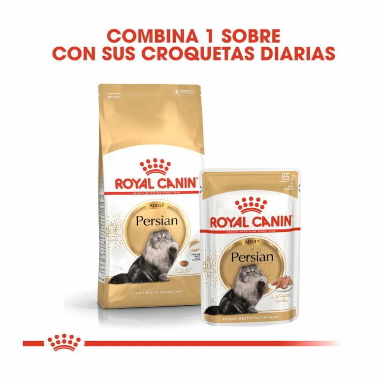 Royal Canin Persian Pienso Para Gato Adulto Persa 2kg 3 Royal Canin Persian Pienso Para Gato Adulto Persa 2kg - Imagen 3