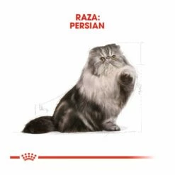 Royal Canin Persian Pienso Para Gato Adulto Persa 10kg 9 Royal Canin Persian Pienso Para Gato Adulto Persa 10kg -Tienda barata Tiendanimal comida gatos royal canin adult persa 5286 M 4 1