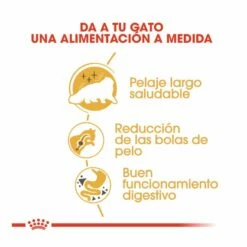 Royal Canin Persian Pienso Para Gato Adulto Persa 10kg 11 Royal Canin Persian Pienso Para Gato Adulto Persa 10kg -Tienda barata Tiendanimal comida gatos royal canin adult persa 5286 M 6 1