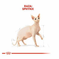 Royal Canin Adult Sphynx Pienso Para Gatos 2kg -Tienda barata Tiendanimal comida gatos royal canin adult sphynx ROY307028 M 4