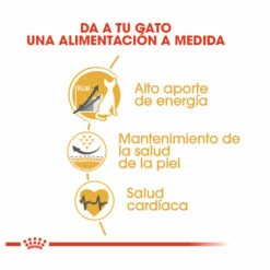 Royal Canin Adult Sphynx Pienso Para Gatos 2kg -Tienda barata Tiendanimal comida gatos royal canin adult sphynx ROY307028 M 6