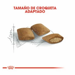 Royal Canin Ageing +12 Pienso Para Gatos 4kg -Tienda barata Tiendanimal comida gatos royal canin ageing 12 ROY316028 M 4 1