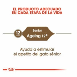 Royal Canin Ageing +12 Pienso Para Gatos 4kg -Tienda barata Tiendanimal comida gatos royal canin ageing 12 ROY316028 M 6 1