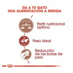 Royal Canin Regular Fit 32 Pienso Para Gatos 2kg -Tienda barata Tiendanimal comida gatos royal canin regular fit 32 ROY315112 M 4 2
