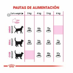 Royal Canin Regular Fit 32 Pienso Para Gatos 4kg -Tienda barata Tiendanimal comida gatos royal canin regular fit 32 ROY315112 M 6 1