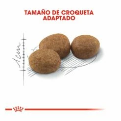 Royal Canin Regular Sterilised 37 Pienso Para Gatos 2kg -Tienda barata Tiendanimal comida gatos royal canin regular sterilised 52722 M 3 1