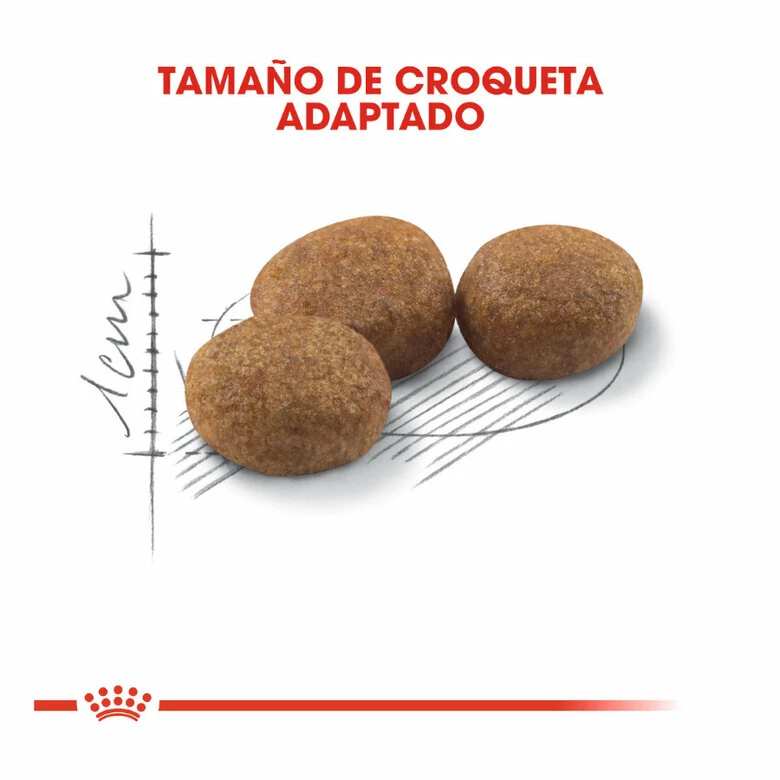 Royal Canin Regular Sterilised 37 Pienso Para Gatos 4kg 3 Royal Canin Regular Sterilised 37 Pienso Para Gatos 4kg - Imagen 3