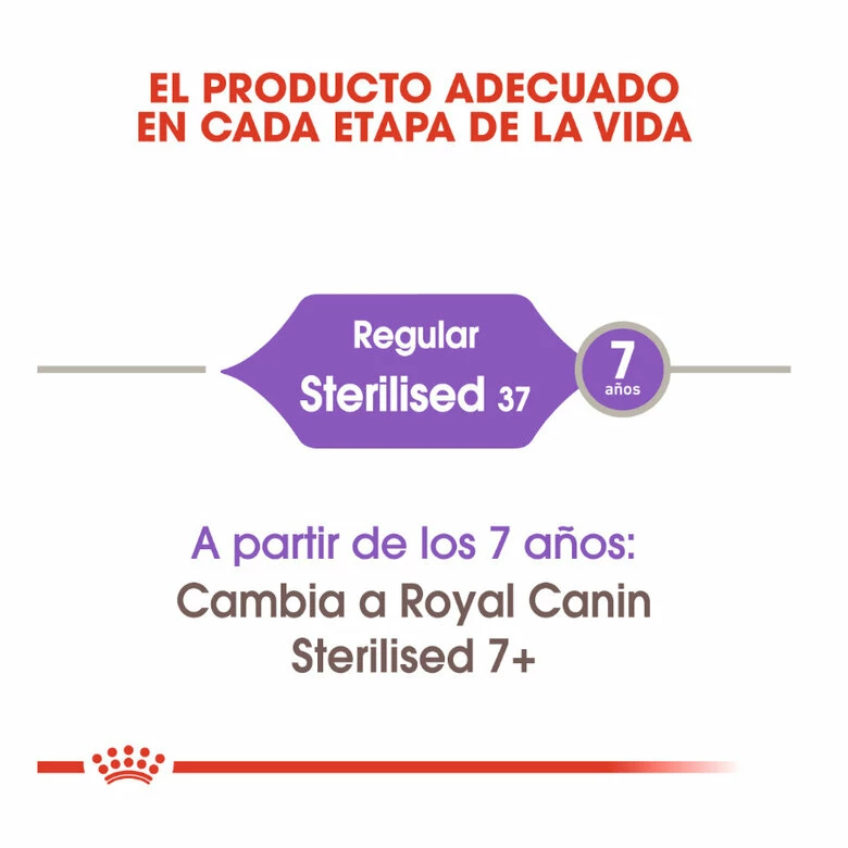 Royal Canin Regular Sterilised 37 Pienso Para Gatos 4kg 4 Royal Canin Regular Sterilised 37 Pienso Para Gatos 4kg - Imagen 4