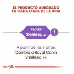 Royal Canin Regular Sterilised 37 Pienso Para Gatos 10kg -Tienda barata Tiendanimal comida gatos royal canin regular sterilised 52722 M 4 3