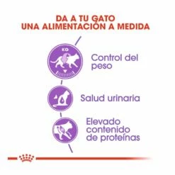 Royal Canin Regular Sterilised 37 Pienso Para Gatos 2kg -Tienda barata Tiendanimal comida gatos royal canin regular sterilised 52722 M 5 1