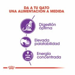 Royal Canin Regular Sensible 33 Pienso Para Gatos 2kg -Tienda barata Tiendanimal comida gatos royal canin sensible 33 5277 M 4 2