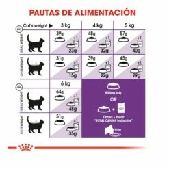 Royal Canin Regular Sensible 33 Pienso Para Gatos 4kg -Tienda barata Tiendanimal comida gatos royal canin sensible 33 5277 M 6 1