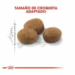 Royal Canin Adult +7 Regular Sterilised Pienso Para Gatos 3.5kg -Tienda barata Tiendanimal comida gatos royal canin sterilised 7 ROY316512 M 3 1