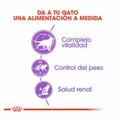 Royal Canin Adult +7 Regular Sterilised Pienso Para Gatos 1.5kg -Tienda barata Tiendanimal comida gatos royal canin sterilised 7 ROY316512 M 4