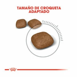 Royal Canin Urinary Pienso Para Gatos 4kg 10 Royal Canin Urinary Pienso Para Gatos 4kg -Tienda barata Tiendanimal comida gatos royal canin urinary care ROY307312 M 4