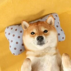 Cama Queen Premium Para Mascotas 35 Cm X 45 Cm 7 Cama Queen Premium Para Mascotas 35 Cm X 45 Cm -Tienda barata Tiendanimal e639fcebd2a94d5fa98e014b4cdfaf4e