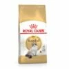 Royal Canin Adult Ragdoll Pienso Para Gatos 2 Kg