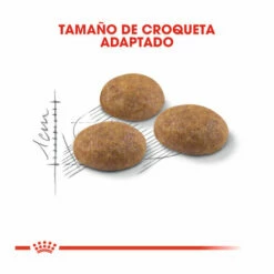 Royal Canin Active Life Outdoor Pienso Para Gatos 2kg -Tienda barata Tiendanimal pienso gatos royal20canin active20life outdoor ROY315631 M 3