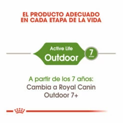 Royal Canin Active Life Outdoor Pienso Para Gatos 2kg -Tienda barata Tiendanimal pienso gatos royal20canin active20life outdoor ROY315631 M 4
