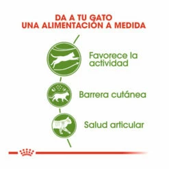 Royal Canin Active Life Outdoor Pienso Para Gatos 2kg -Tienda barata Tiendanimal pienso gatos royal20canin active20life outdoor ROY315631 M 5