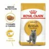 Royal Canin Adult British Shorthair Pienso Para Gatos 2 Kg